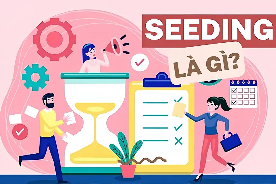 Seeding đơn hàng là gì?