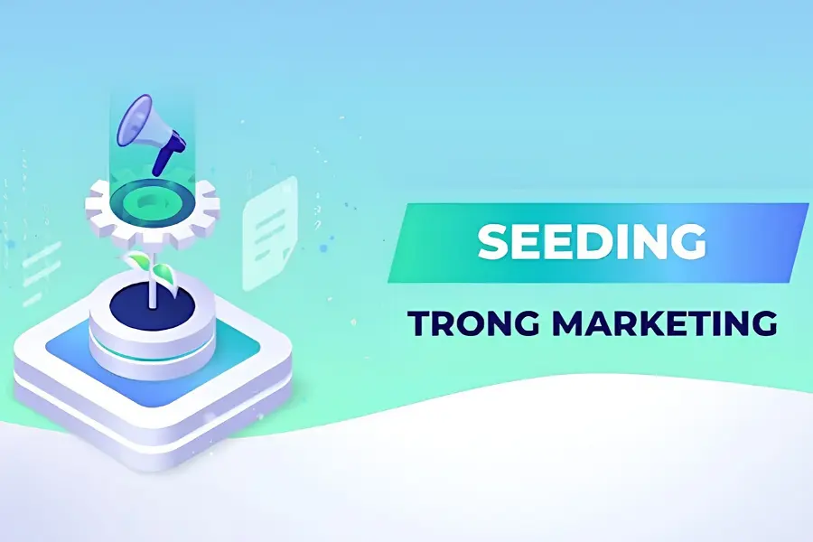 Nguyên tắc để Seeding hiệu quả hơn